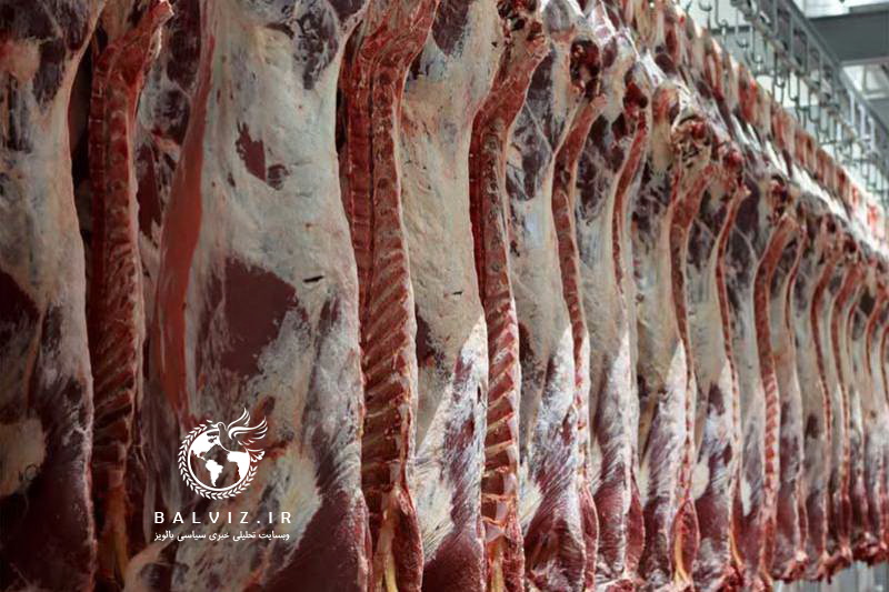 توزیع بیش از ۲۰تن گوشت قرمز در بوکان