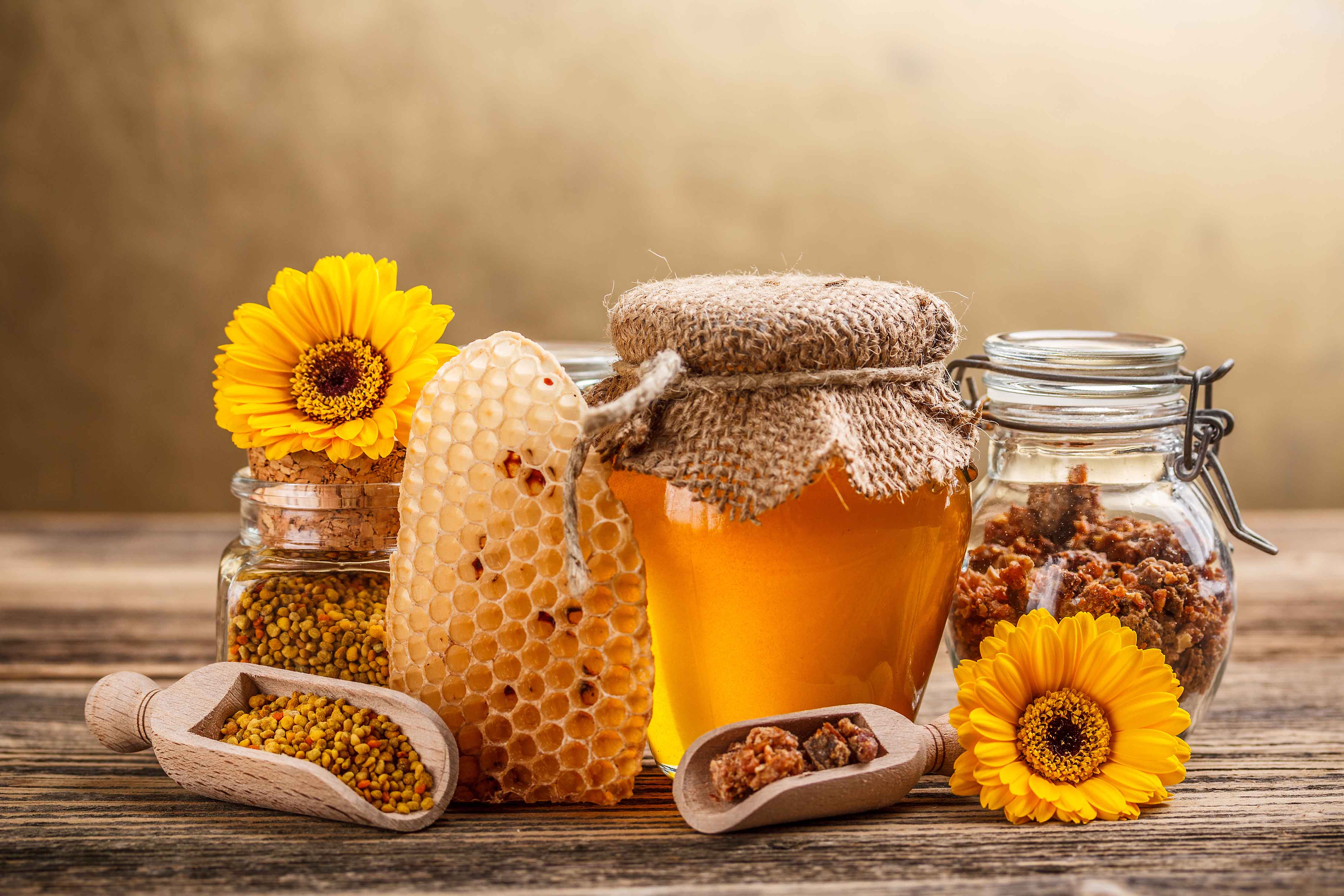 ۱۵۳ تن عسل در مهاباد  تولید شد