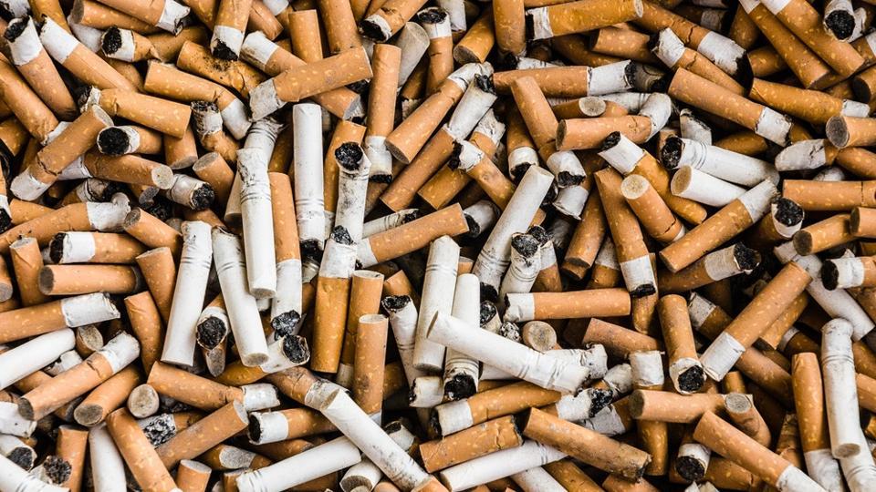 بیش از ۲۵۰۰فیلتر سیگار ، توسط کودکان مهابادی جمع آوری شد