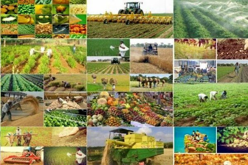 ۵۱  پروژه کشاورزی  درگرامیداشت  دهه فجرامسال  در سقزافتتاح می شود