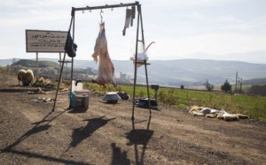 کشتارهای دام کناره جاده ای ممنوع است