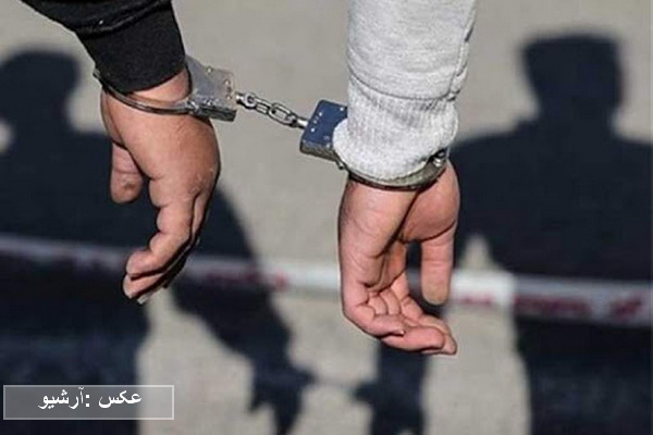 سارقان قطعات الکترونیکی خودرو در مهاباد دستگیر شدند