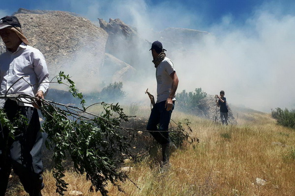 آتش سوزی مراتع روستای قره بابا تکاب مهار شد
