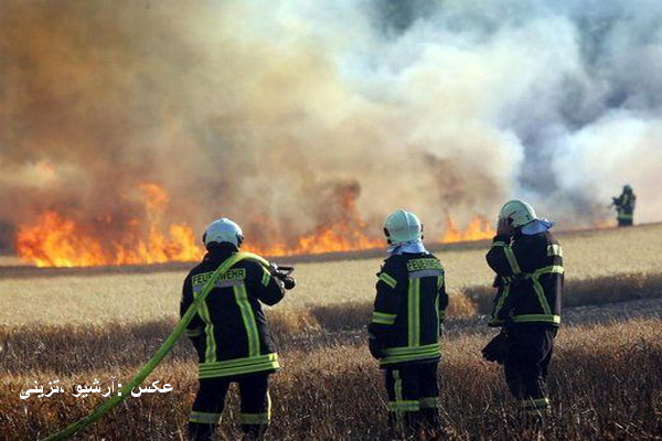 آتش به جان گندم زارهای روستای دنگز از توابع شهرستان بوکان افتاد