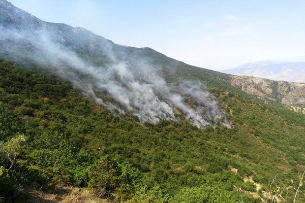 آتش سوزی منطقه حفاظت شده کوسالان – شاهو مهار شد