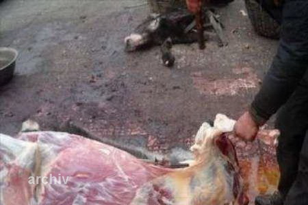 یک سال زندان برای فروشنده گوشت الاغ در تبریز