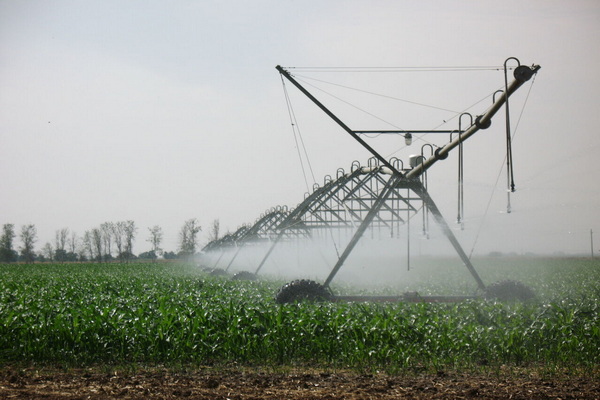 اجرای سامانه های "نوین آبیاری" صرفه جویی آب را در بخش کشاورزی به همراه دارد