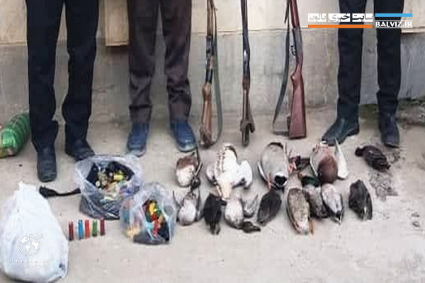 شکارچیان غیر مجاز پرندگان در مهاباد دستگیر شدند