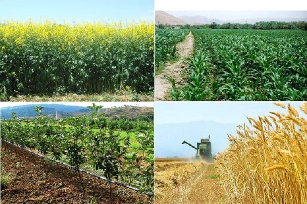 جهاد کشاورزی آذربایجان غربی در ایام نوروز ۱۴۰۰ تعطیل نیست