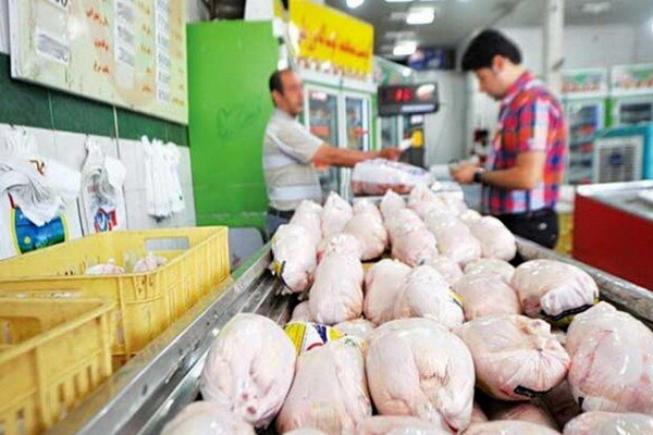 تشدید بازرسی بر مراکز عرضه مرغ زنده در مهاباد
