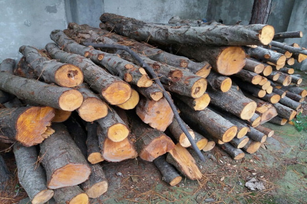بیش از 30 تن چوب قاچاق در مهاباد کشف و ضبط شد
