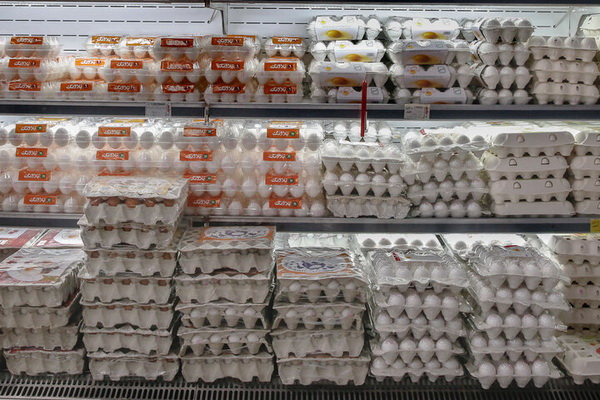 شهروندان تخم‌مرغ‌هایی را بخرند که در یخچال نگهداری می‌شود