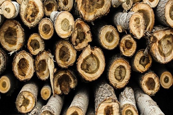 4 تن چوب قاچاق در مهاباد کشف شد