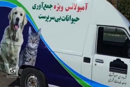 آمبولانس ویژه جمع آوری حیوانات بی سرپرست در شهرستان مرزی سردشت