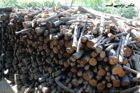محل دپوی ۲۵۰ تن چوب قاچاق در مهاباد لو رفت