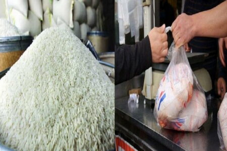 ۱۱۸تن گوشت مرغ منجمد و برنج تنظیم بازار در مهاباد توزیع شد