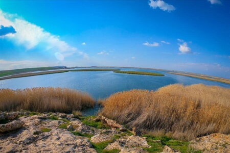 Kani Barazan Mahabad International Wetland