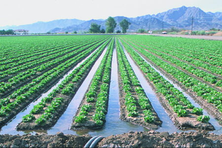 تجهیز بیش از ۵۰۰ هکتار از زمین های کشاورزی مهاباد به روش های نوین آبیاری
