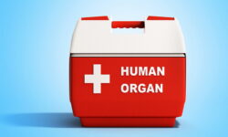 The body parts of an 18-year-old teenager revived 4 people in Urmia