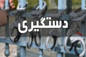 2 زن سارق حرفه ای در مهاباد به دام پلیس افتادند