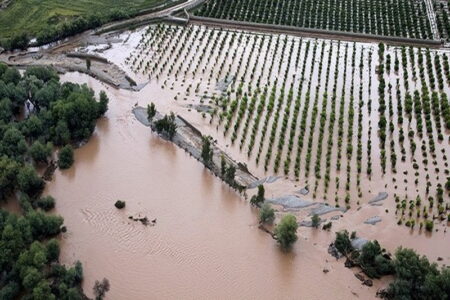 خسارت ۱۶۰۰ میلیارد تومانی به بخش کشاورزی آذربایجان غربی