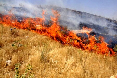 ۱۳۰ هکتار از مراتع شهرستان بوکان در آتش سوخت
