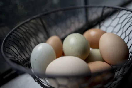 دلیل تنوع رنگ در تخم‌مرغ چیست؟