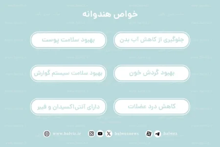 خواص هندوانه