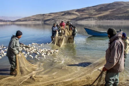 سەرەتای ڕاوکردنی ماسی لە دەریاچەی بەنداوی مەهاباد