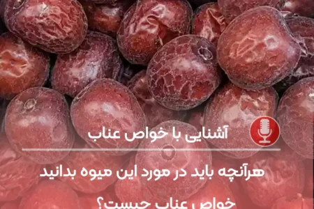 عناب چیست و چه خاصیتی دارد؟