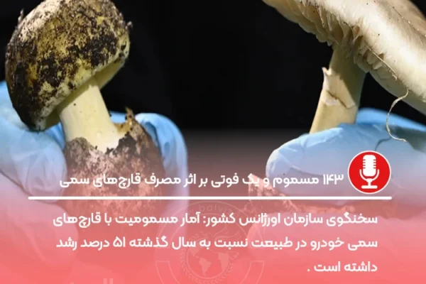 ۱۴۳ مسموم و یک فوتی بر اثر مصرف قارچ‌های سمی
