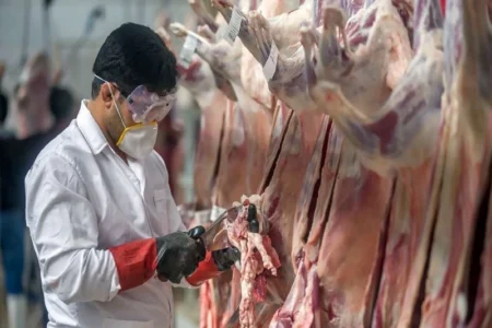 نظارت تیم دامپزشکی مهاباد بر ذبح دام‌ها در عید قربان