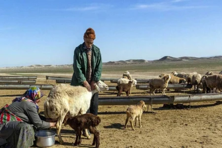 ورود دام به مراتع آذربایجان‌غربی تا ۱۵ اردیبهشت ممنوع است