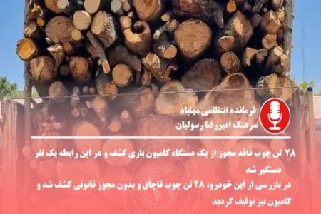 28 تن چوب قاچاق در مهاباد کشف و ضبط شد