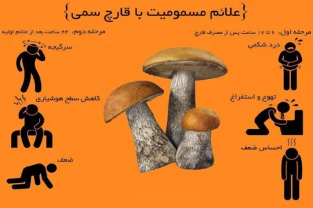 علائم مسمومیت با قارچ سمی راههای پیشگیری