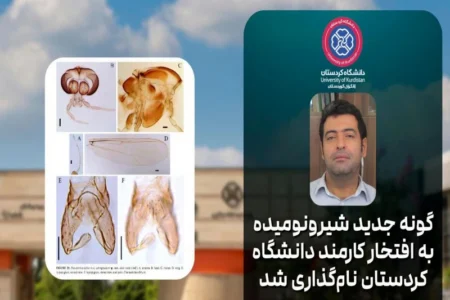 گونه جدید شیرونومیده به افتخار کارمند دانشگاه کردستان نام‌گذاری شد