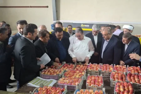 سردخانه و واحد سورتینگ ۲۲۰۰ تنی در مهاباد افتتاح شد