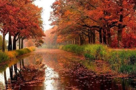پاییز پله چیست و کی آغاز می شود؟
