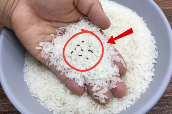 چگونه حشرات داخل برنج را از بین ببریم؟
